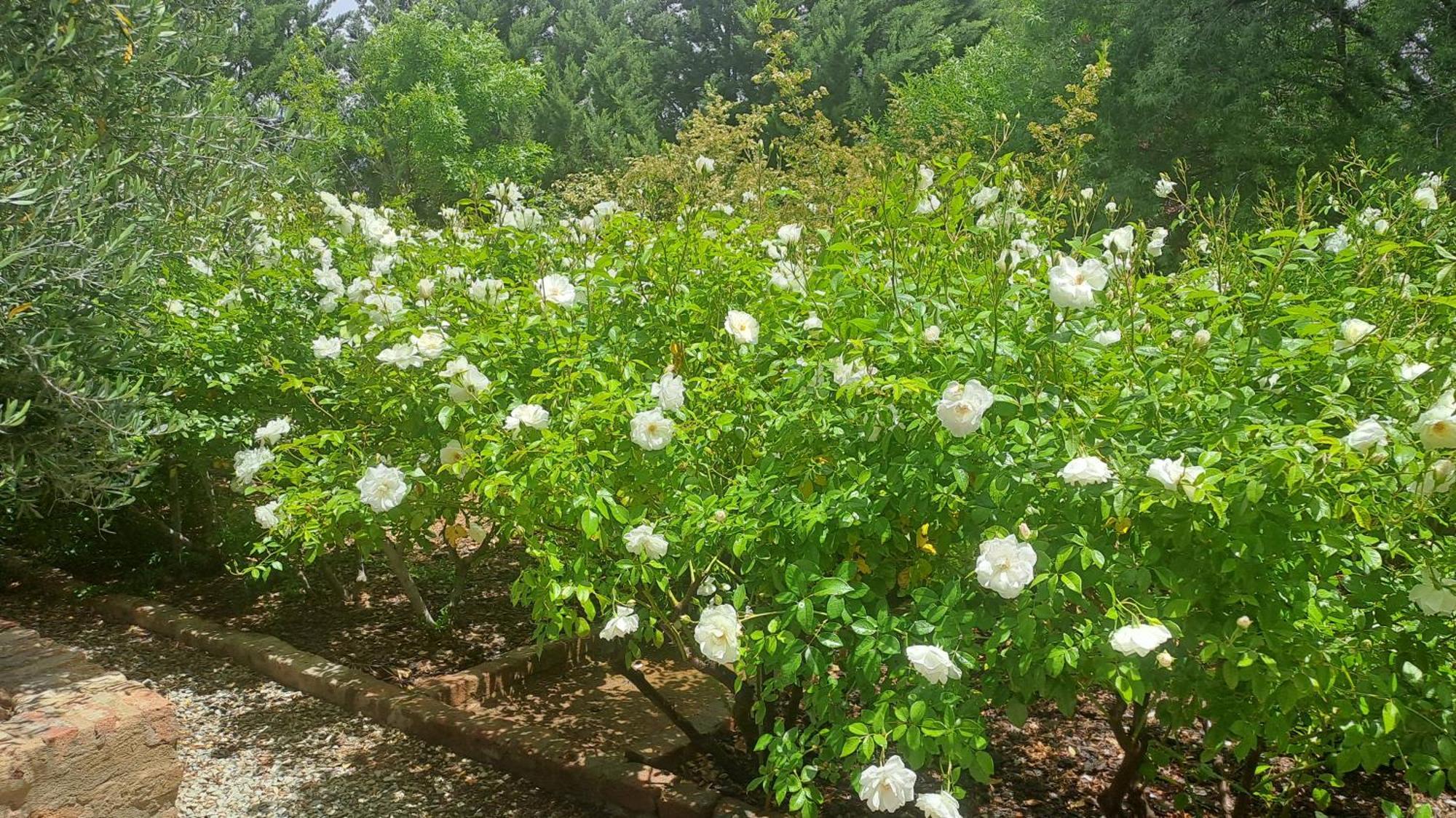 African Dawn B&B Calvinia Εξωτερικό φωτογραφία